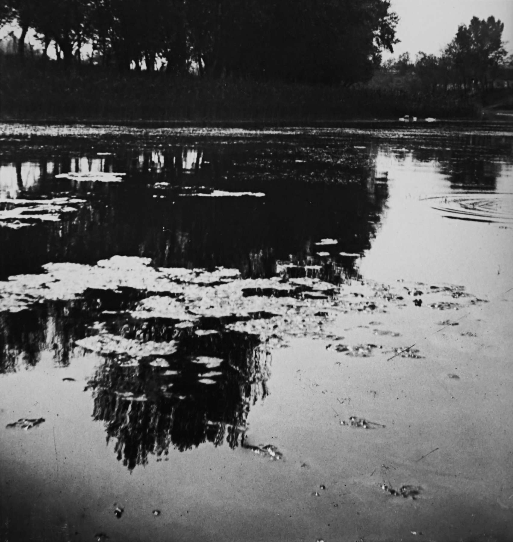 Kertesz on Kertesz A Self-Portrait Andre Kertesz アンドレ