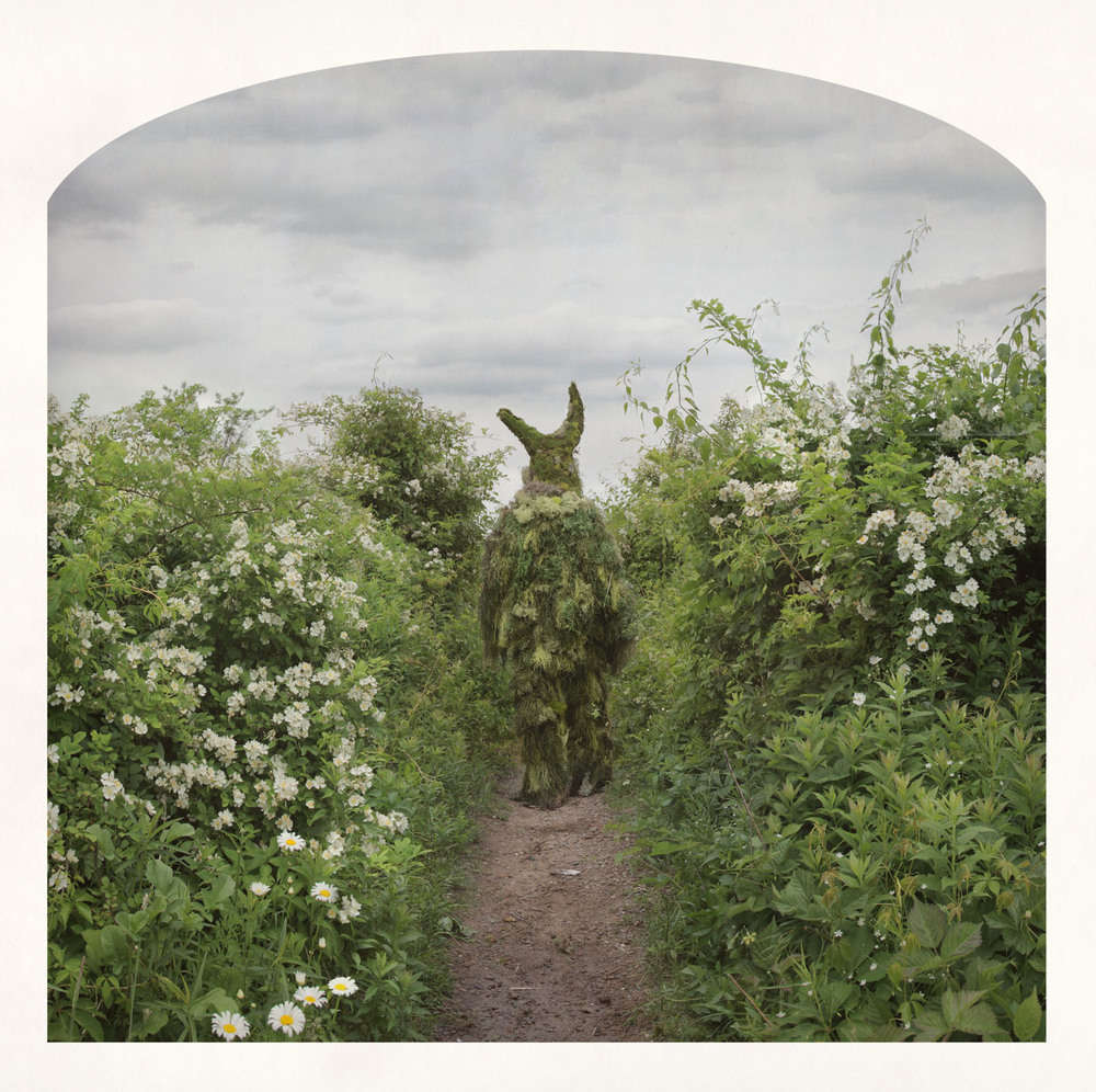 On a Flowering Path