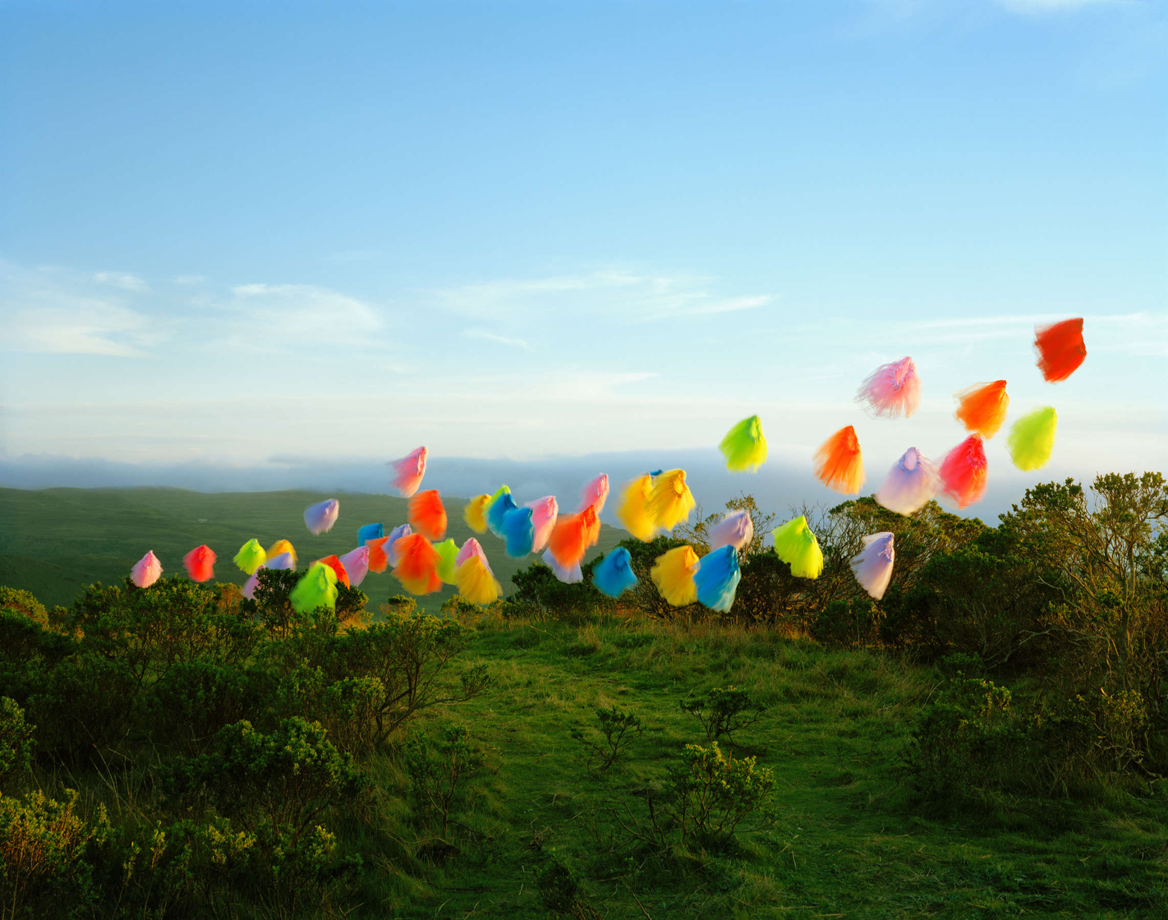 Tutus no. 3, Half Moon Bay, California