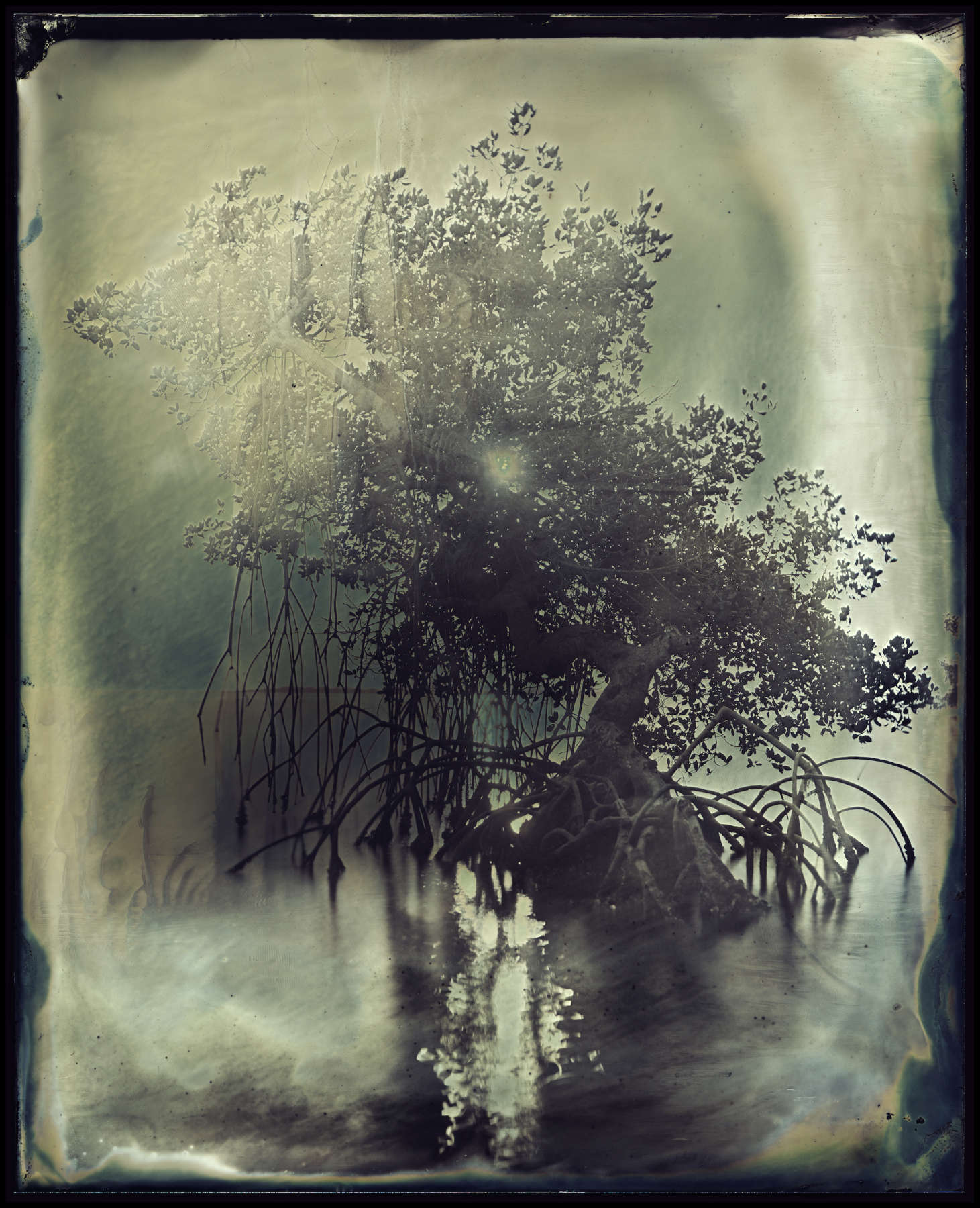 Barrier Island, Study 330