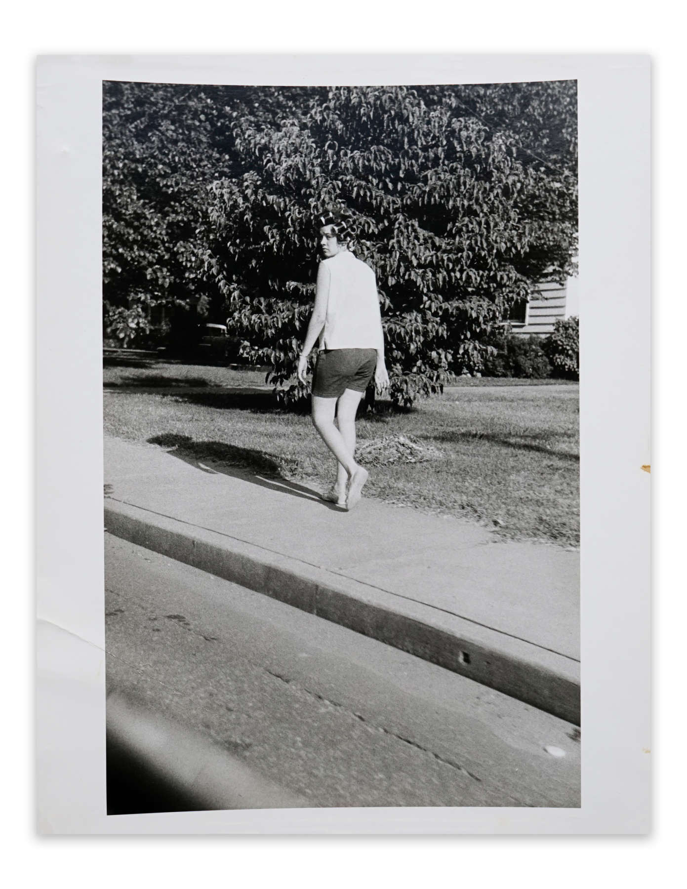 Untitled (house with vine)