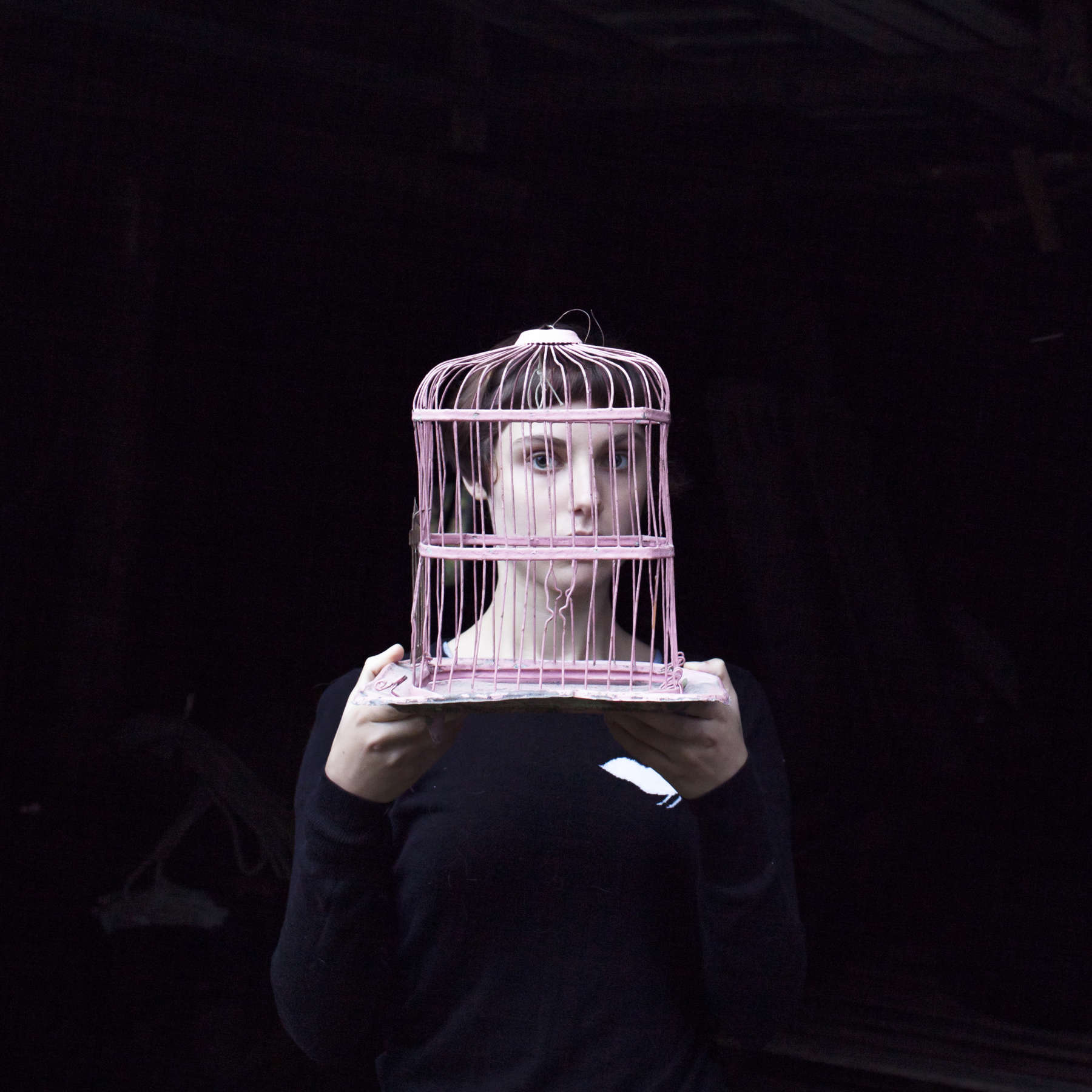 Birdcage, Sadie, Tenants Harbor, Maine