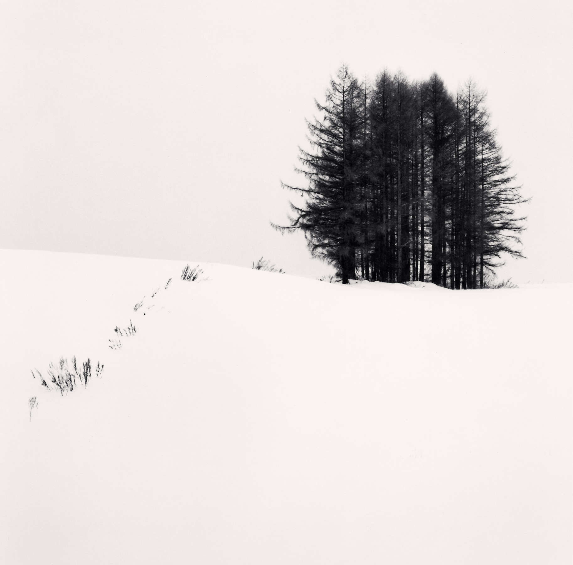 Michael Kenna, Cold Landscape, Sanai, Hokkaido, Japan, 2004