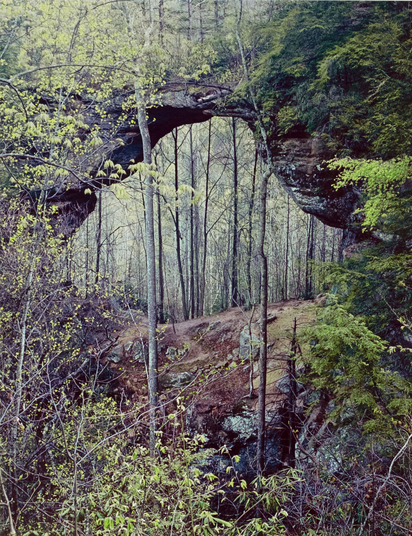 Gray's Arch, Red River Gorge, Kentucky