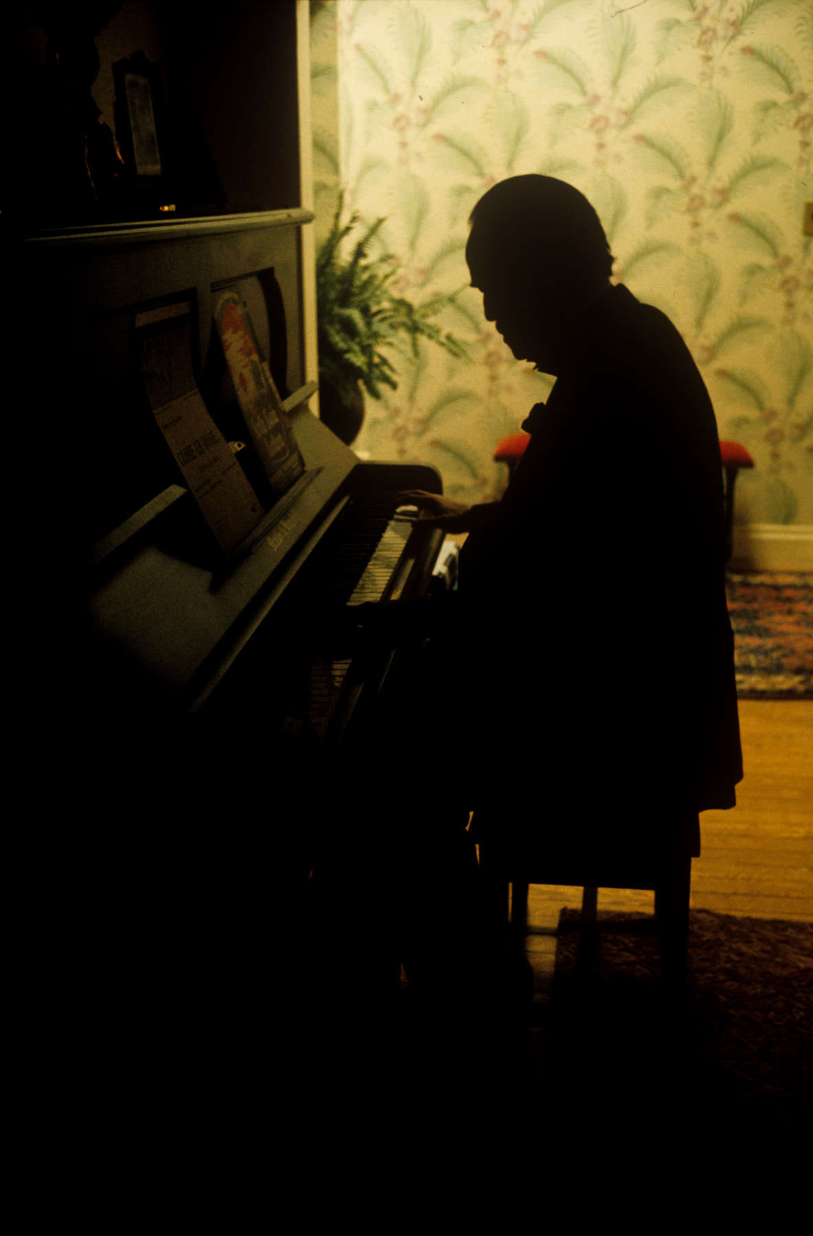 Brando at the Piano, Godfather I