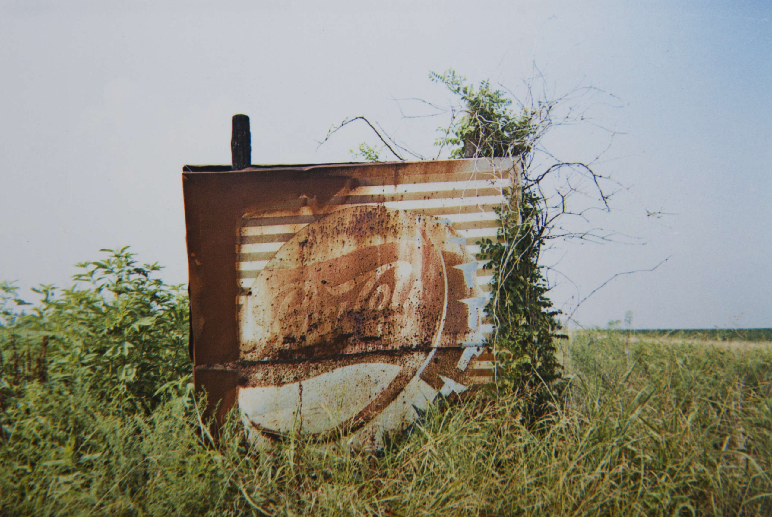 Pepsi Cola Sign in Landscape- Near Uniontown, Alabama