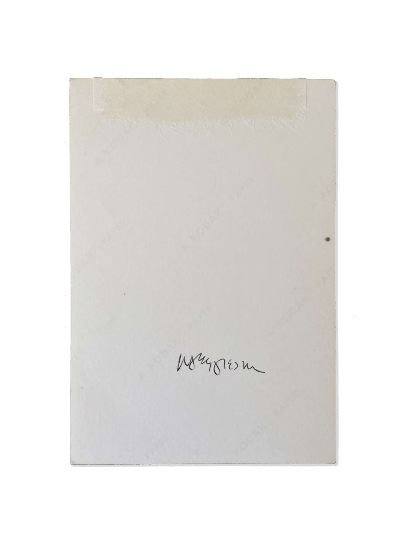 Untitled (Gully from Above with Pines)