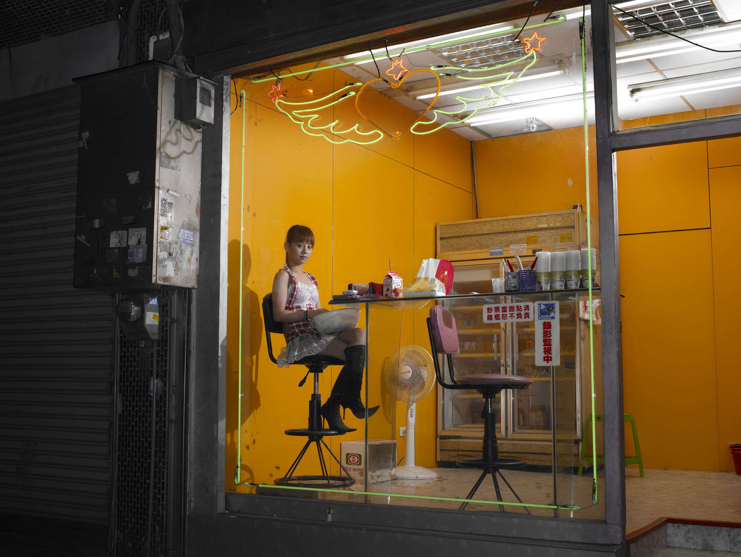 Masato Seto, Untitled, Binran Series, Plate 25, 2007