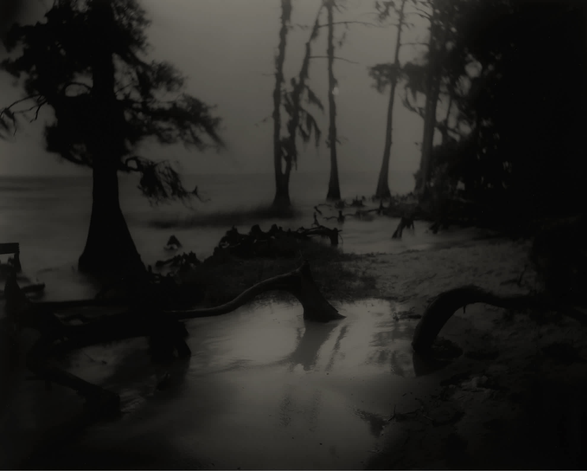 Sally Mann: Remembered Light & Landscapes, Deep South, Untitled 