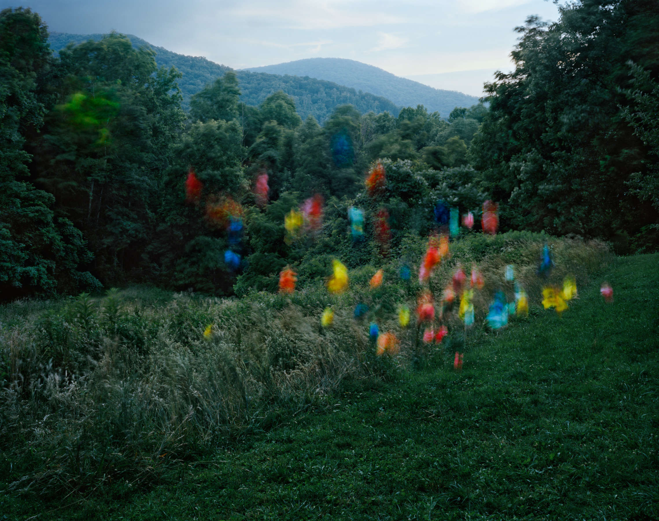 Crumpled Paper no. 1, Weaverville, North Carolina
