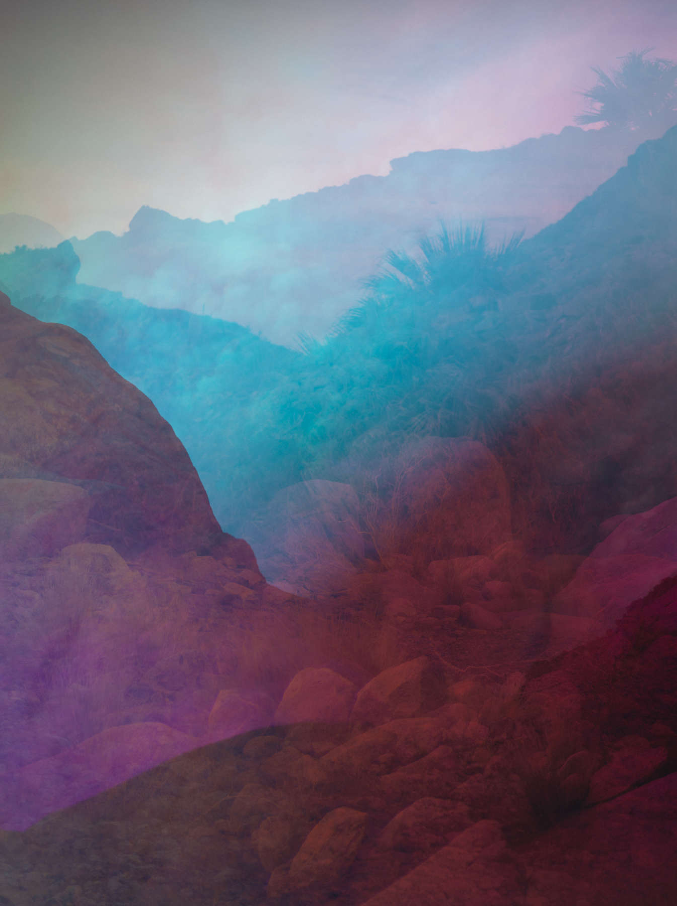 Psychscape 74 (Borrego Palm Canyon,CA)
