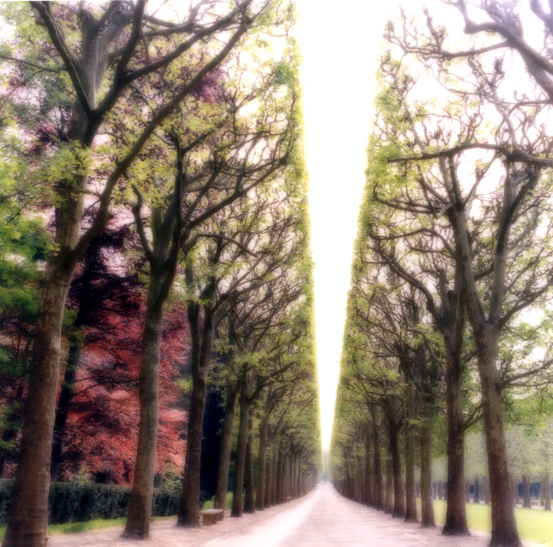 Parc de Sceaux, France (4-07-6c-9)
