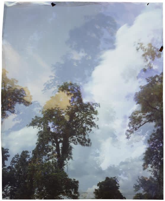 John Chiara, Friar's Point, Levee, Mississippi, Version I, 2015