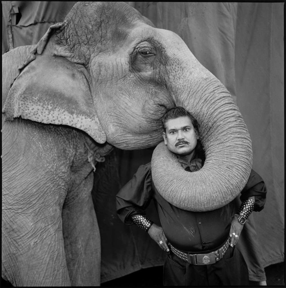 Ram Prakash Singh with His Elephant Shyama, Great Golden Circus, Ahmedabad, India