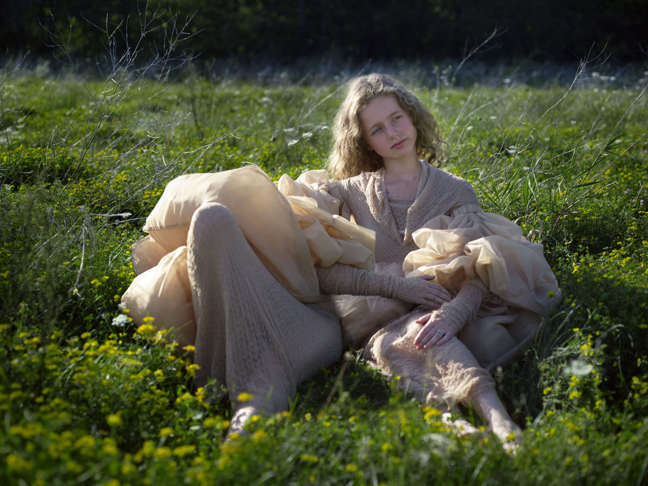 Untitled #7, The Garden Document 