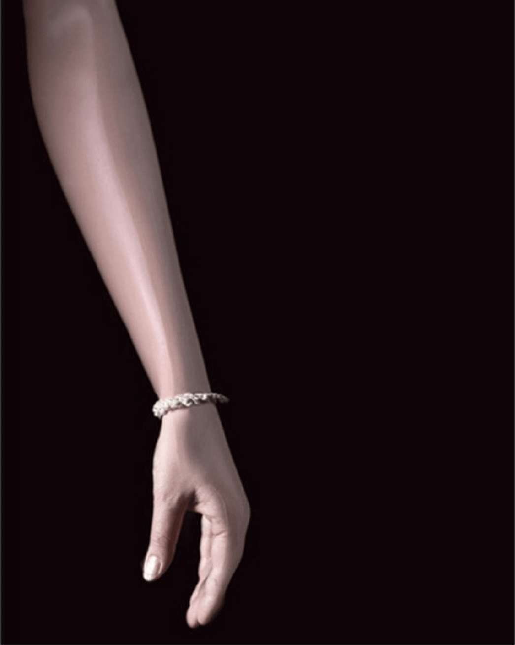 Plastic Bodies Portfolio