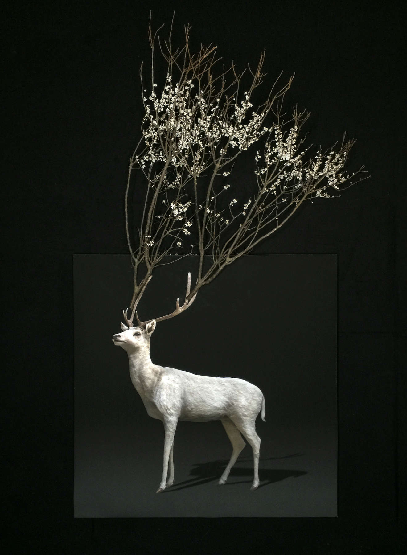 Untitled (Flowering Branch Stag)
