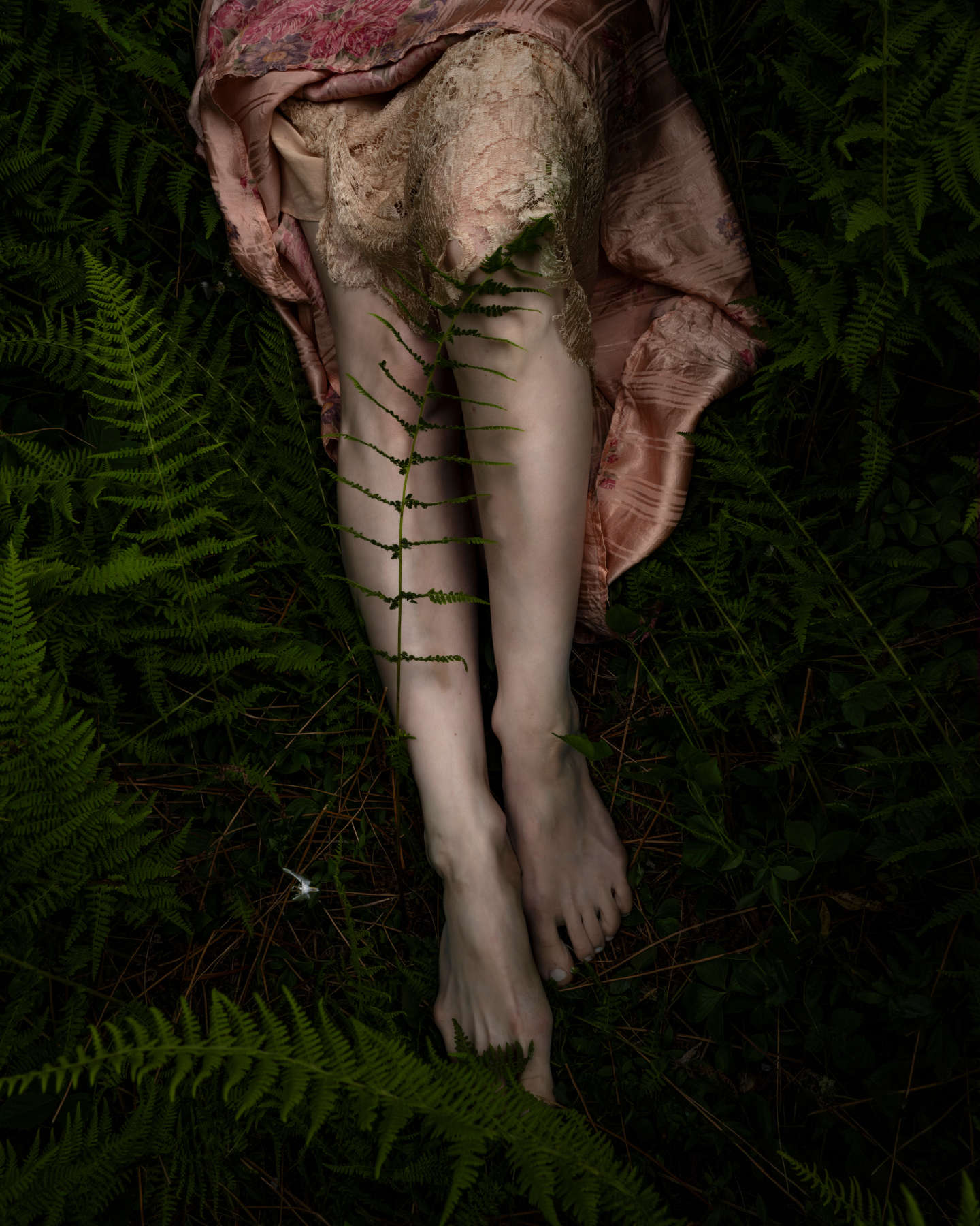 The Ferns, Vinalhaven