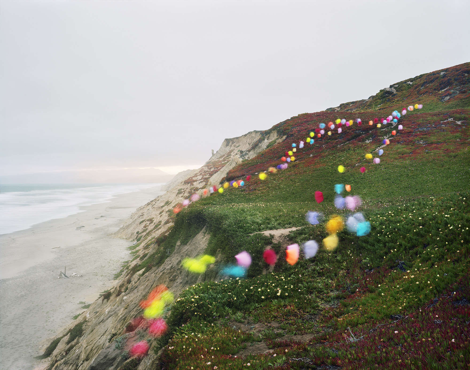 Tutus no. 4, San Francisco, California