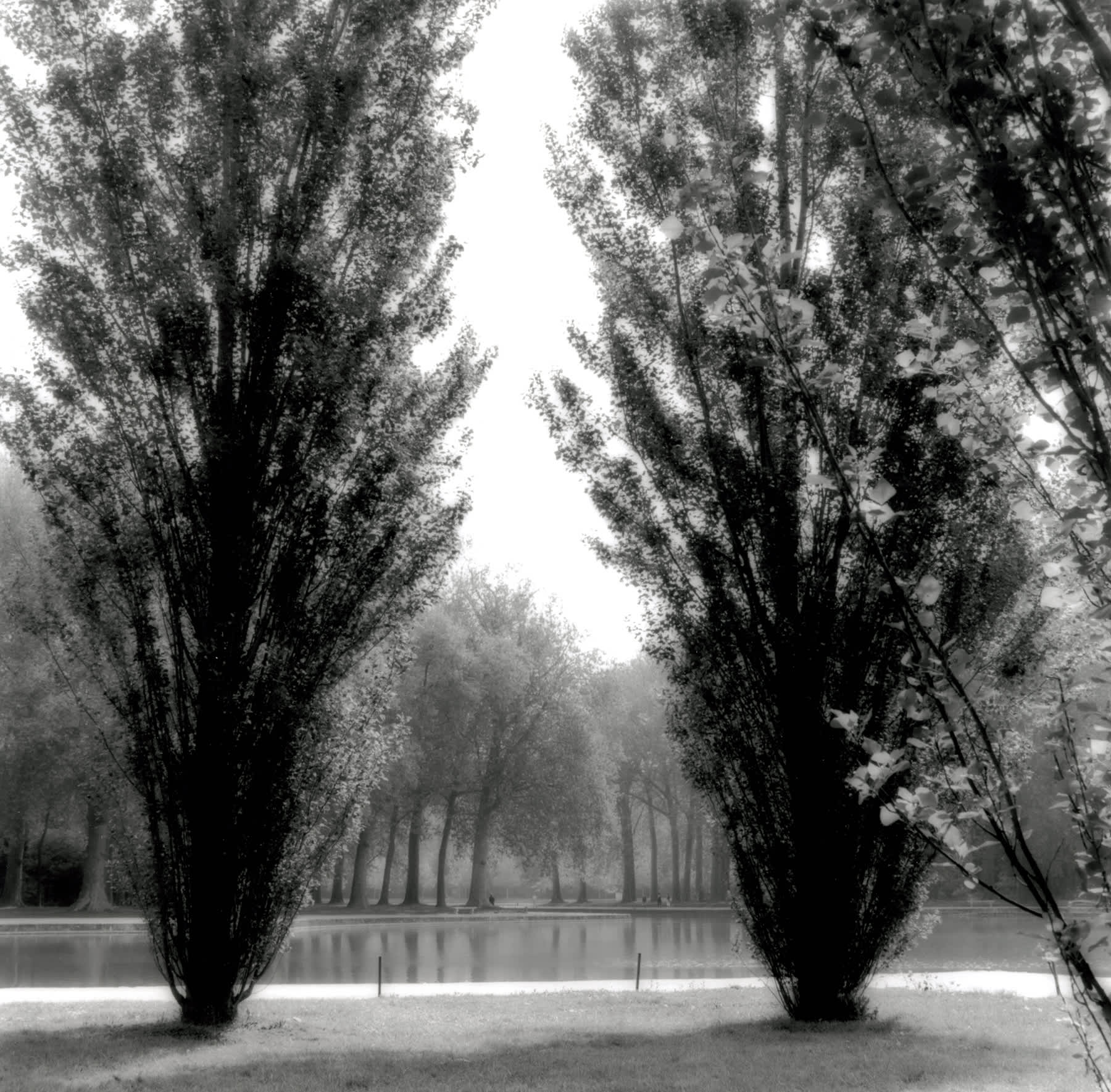 Parc de Sceaux, France (4-06-11-8)