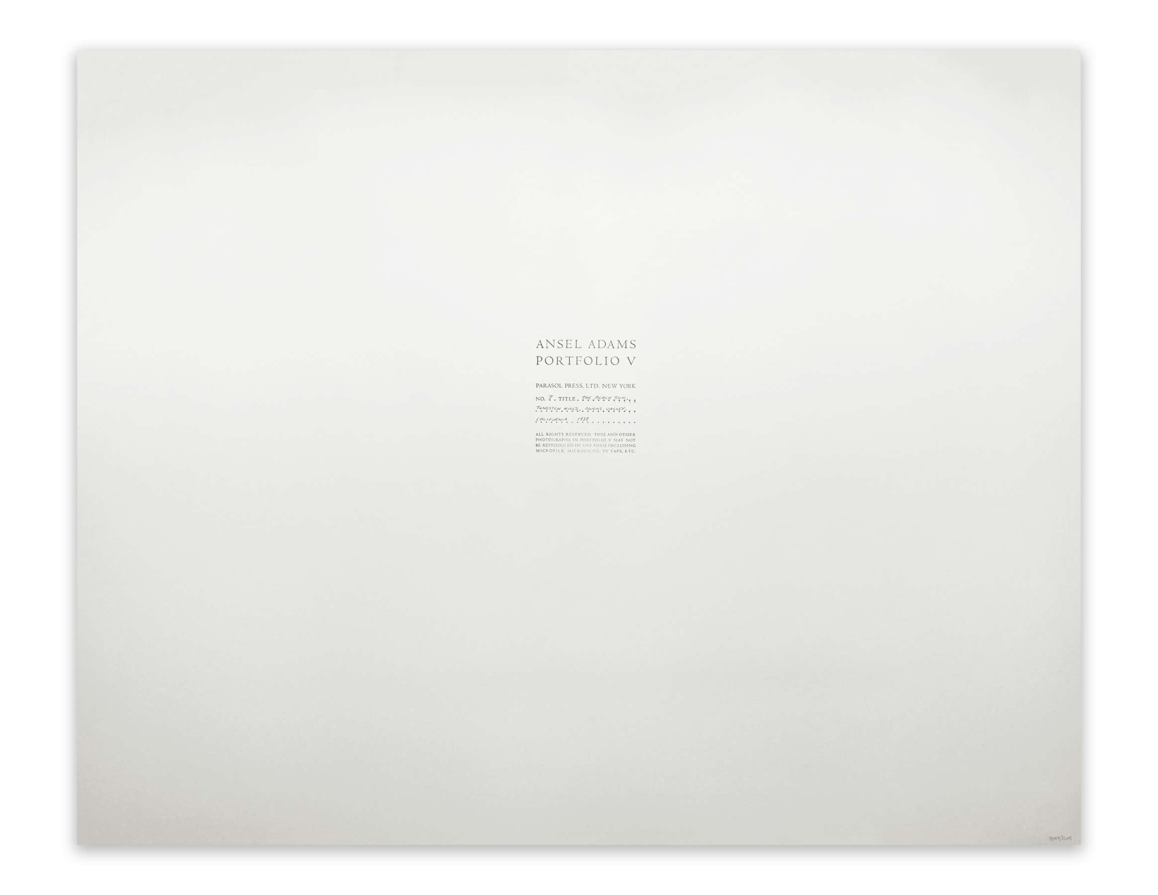 Entering Montgomery - Selma March