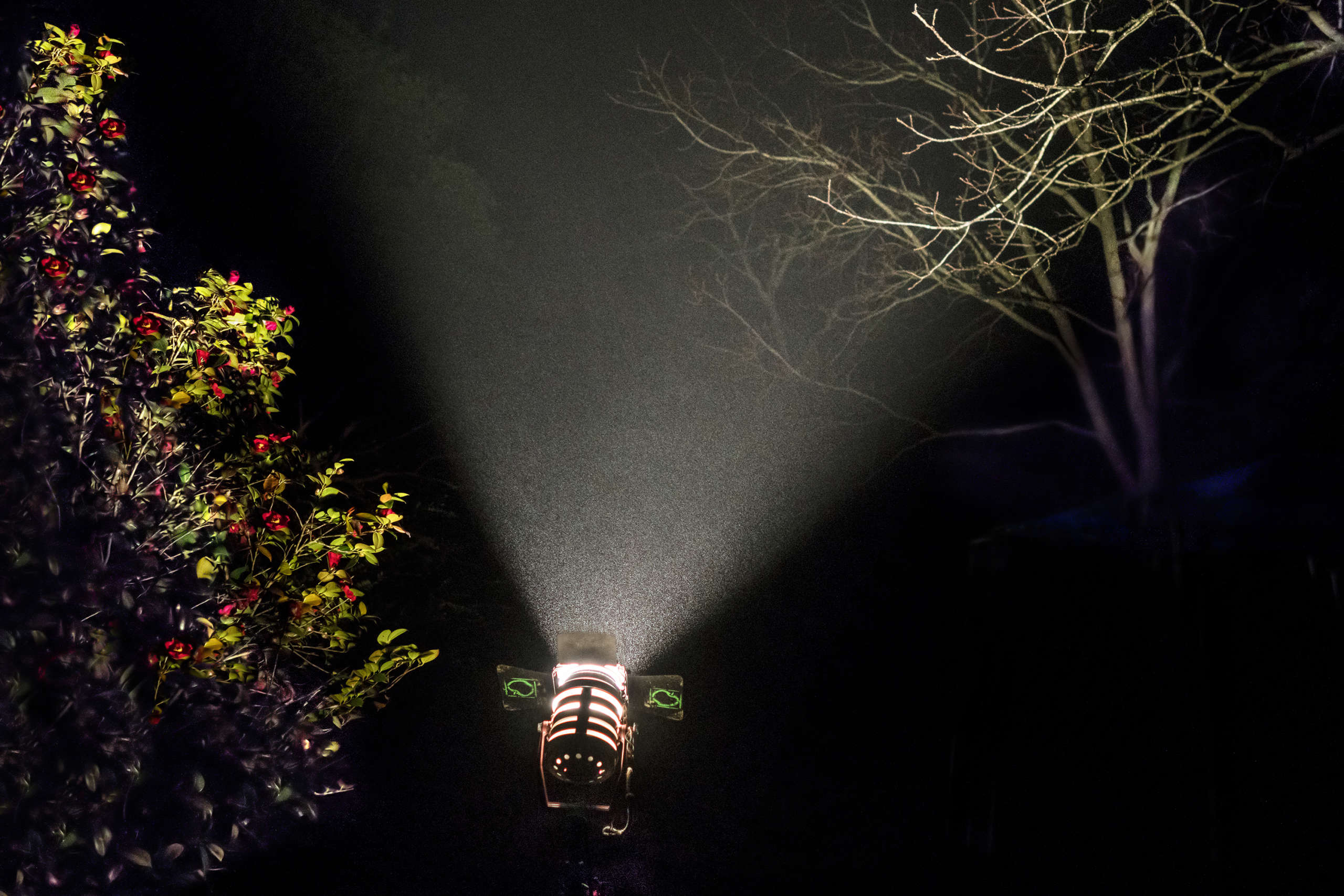 Abducted, Waxhaw, North Carolina, February