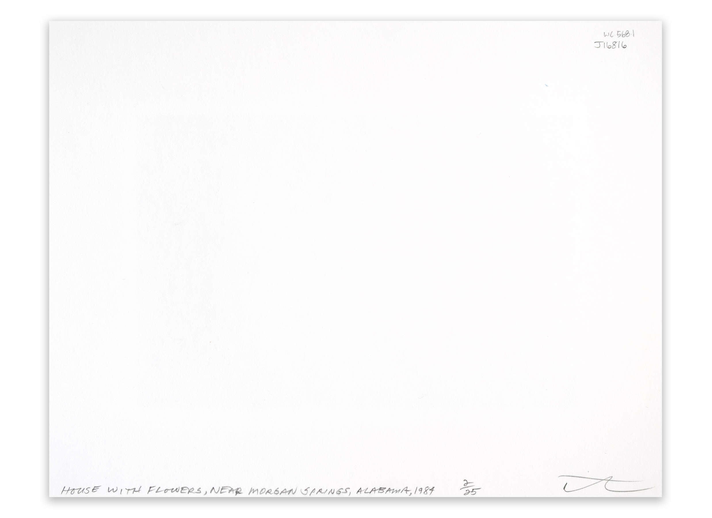 Dr. Riegler and J. Greno, Munich