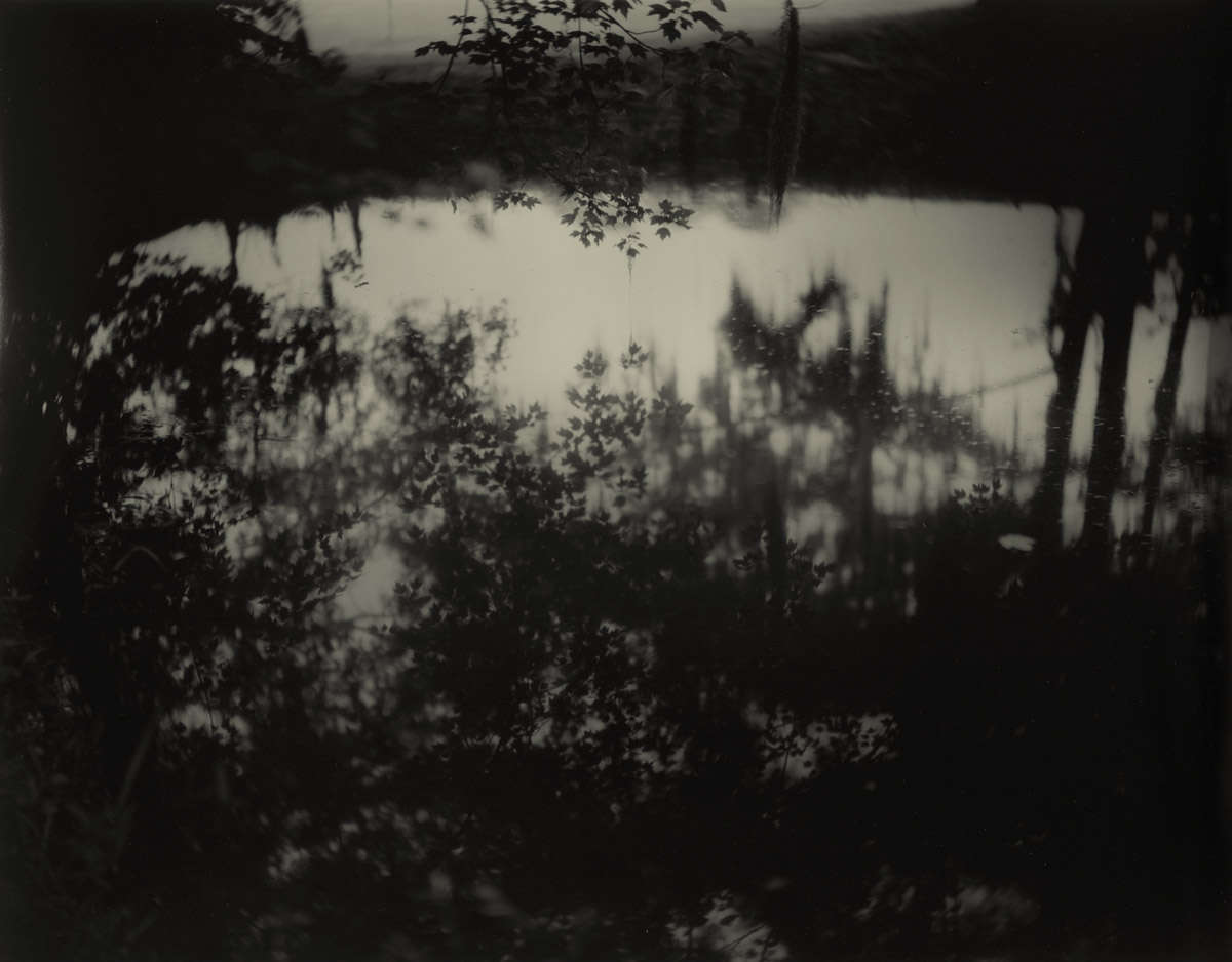 Avery Island II
