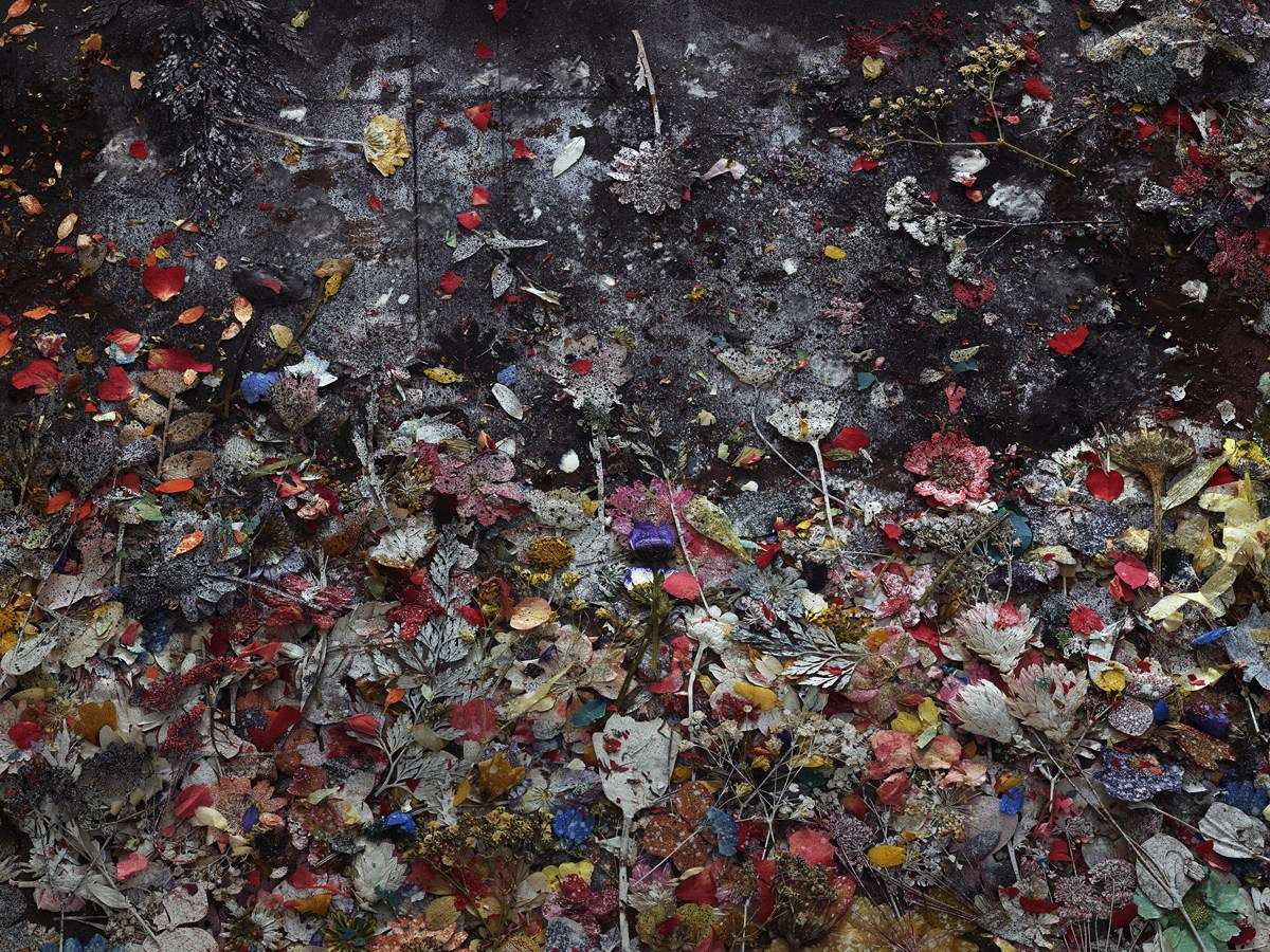 Flowers for Lisa #15