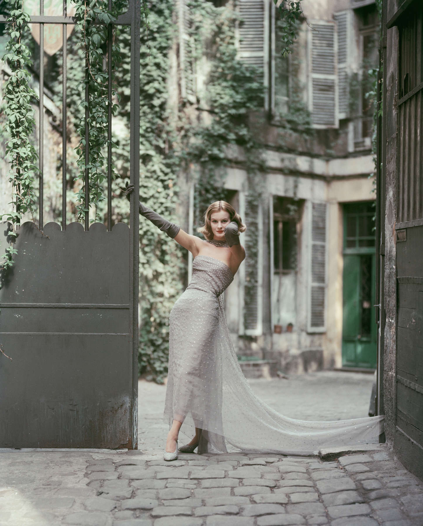 Courtyard Dior Gray Chiffon
