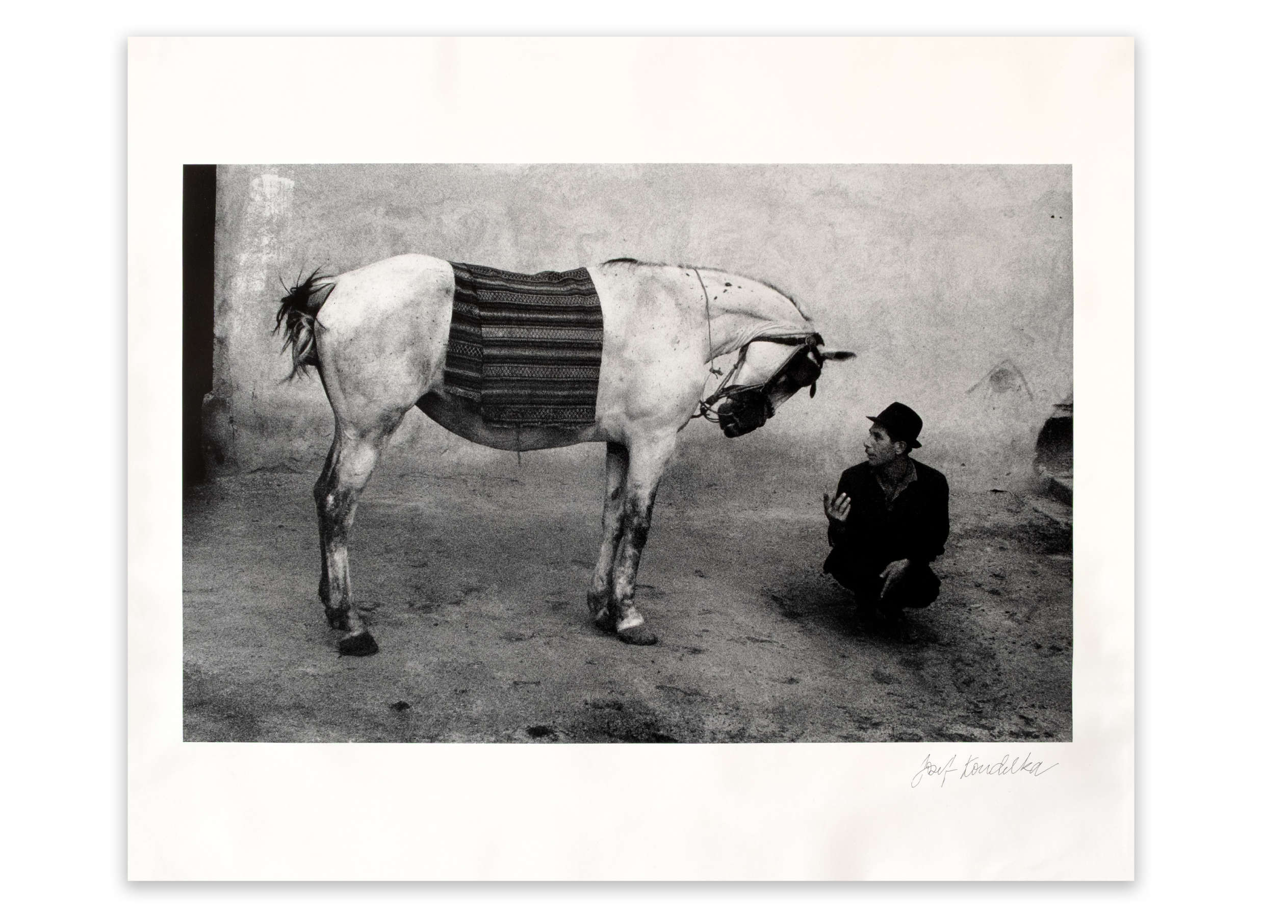 Rumania (gypsy and horse)