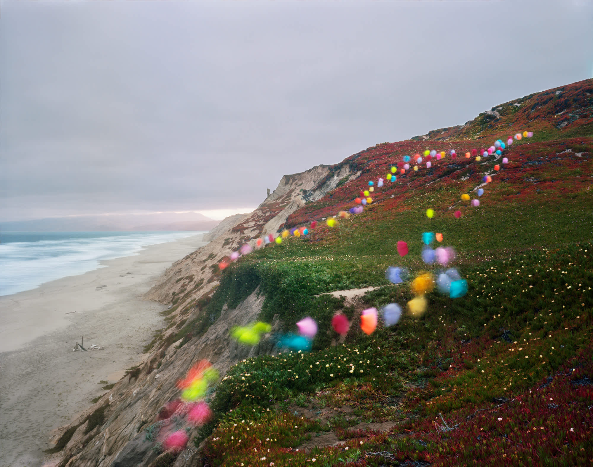 Tutus no. 4, San Francisco, California