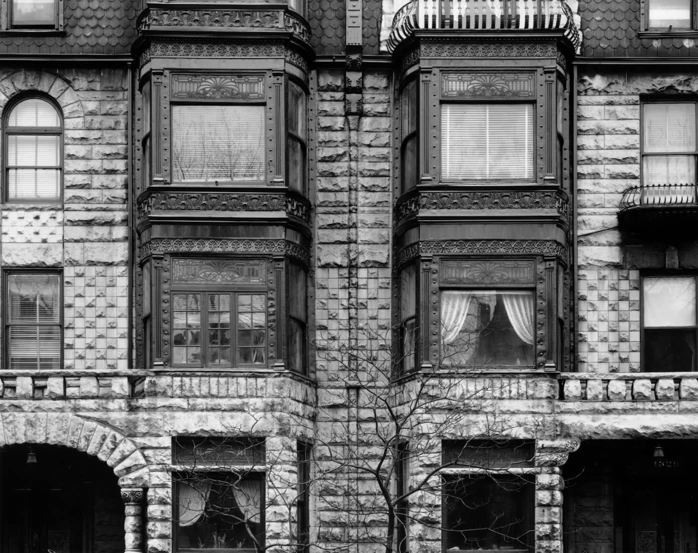 Facade (with tree), Chicago