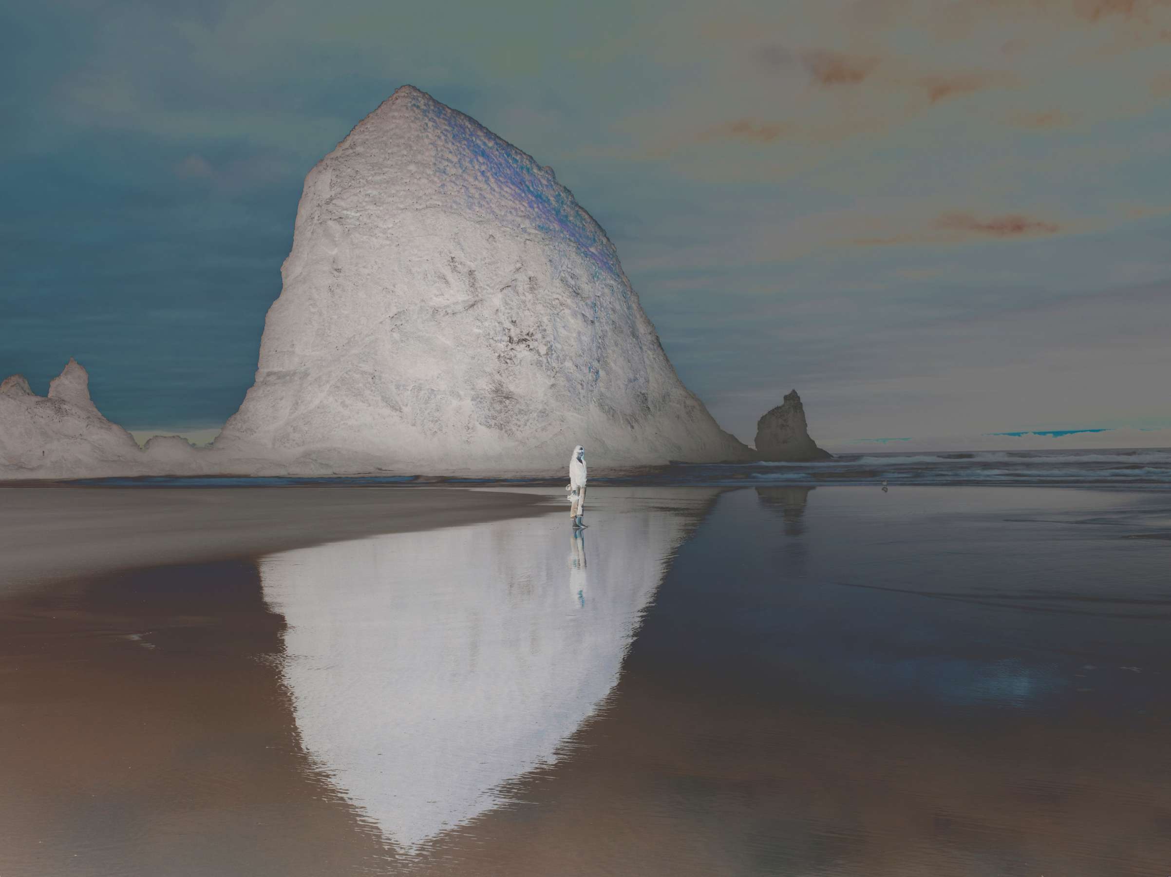 激安本物 72226/リチャード・ミズラック 写真集 Richard Misrach On the アート写真