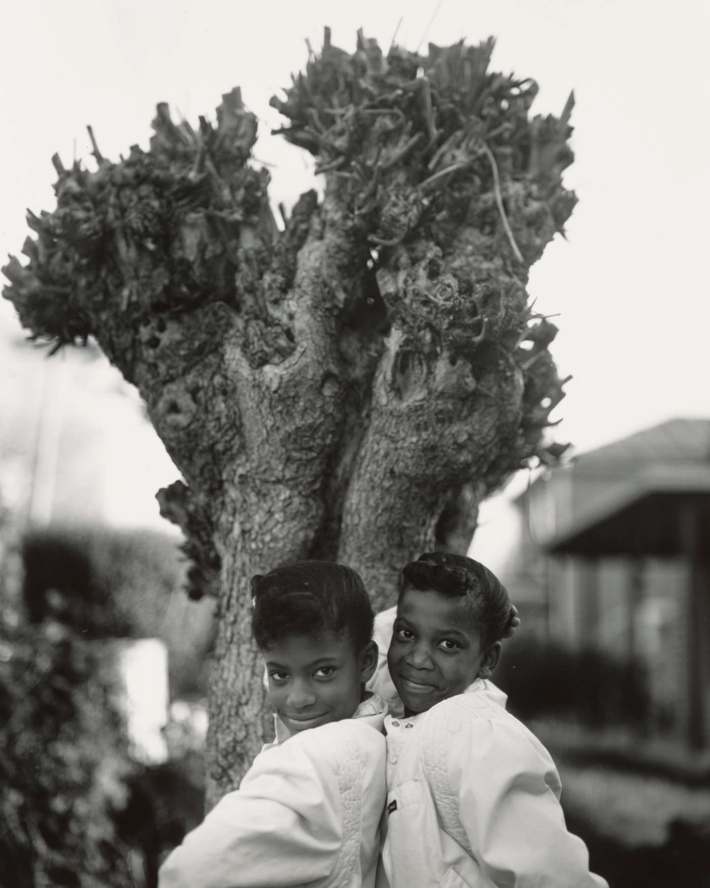 Twins (At Twelve)