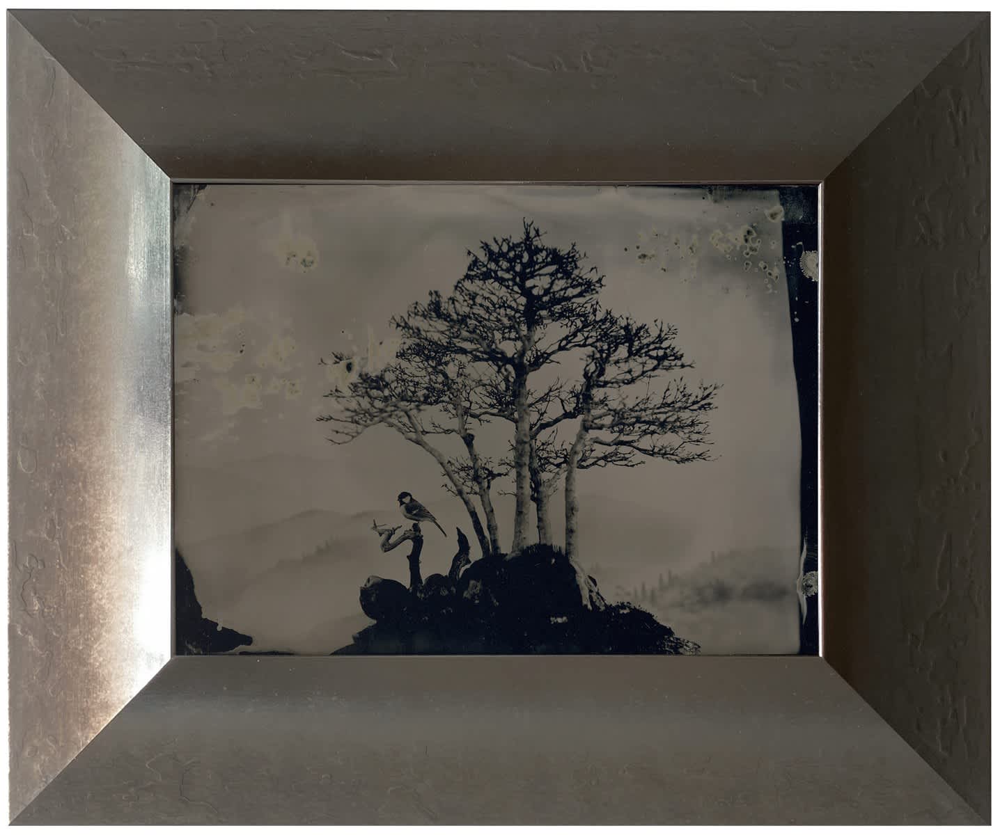 Ambrotype #28