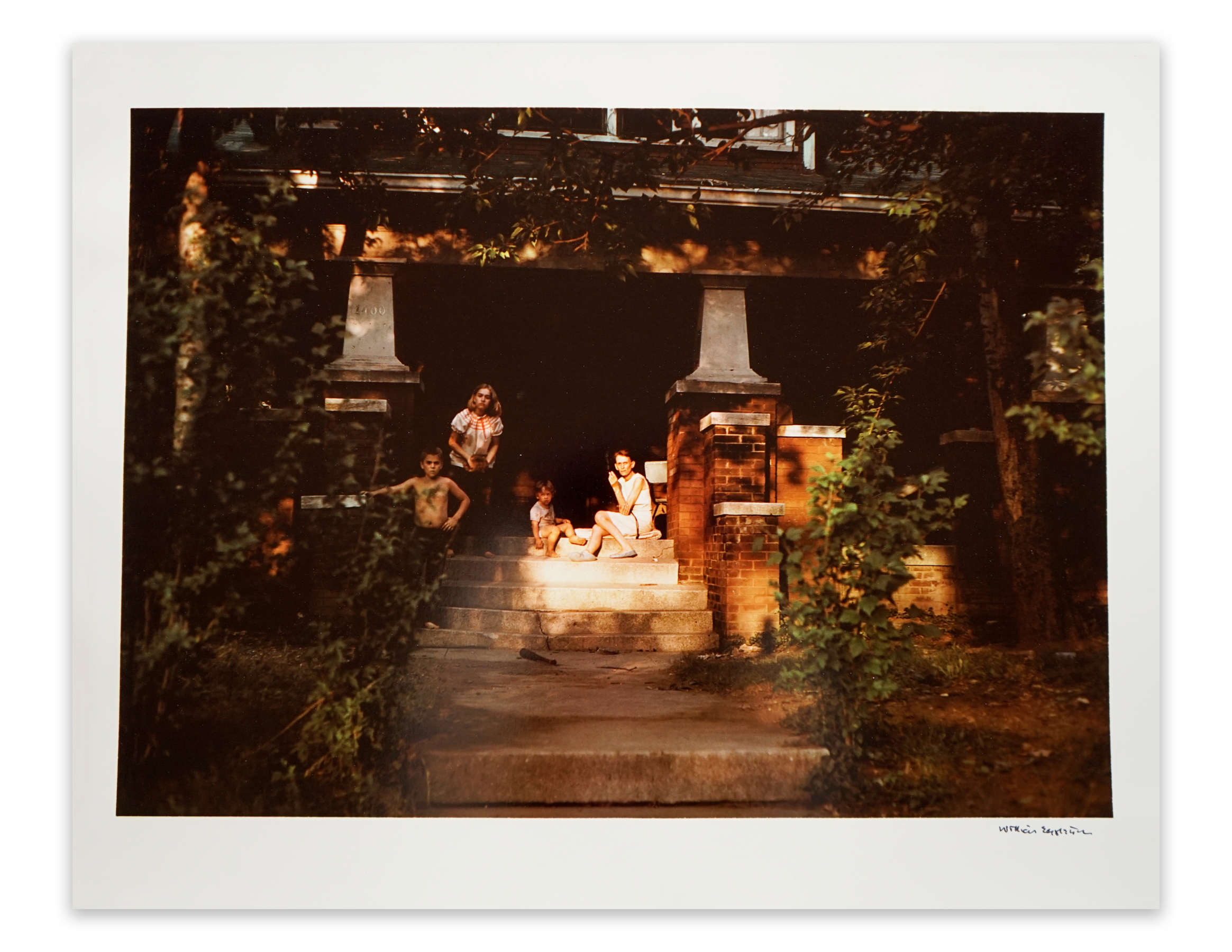 Untitled (house with vine)
