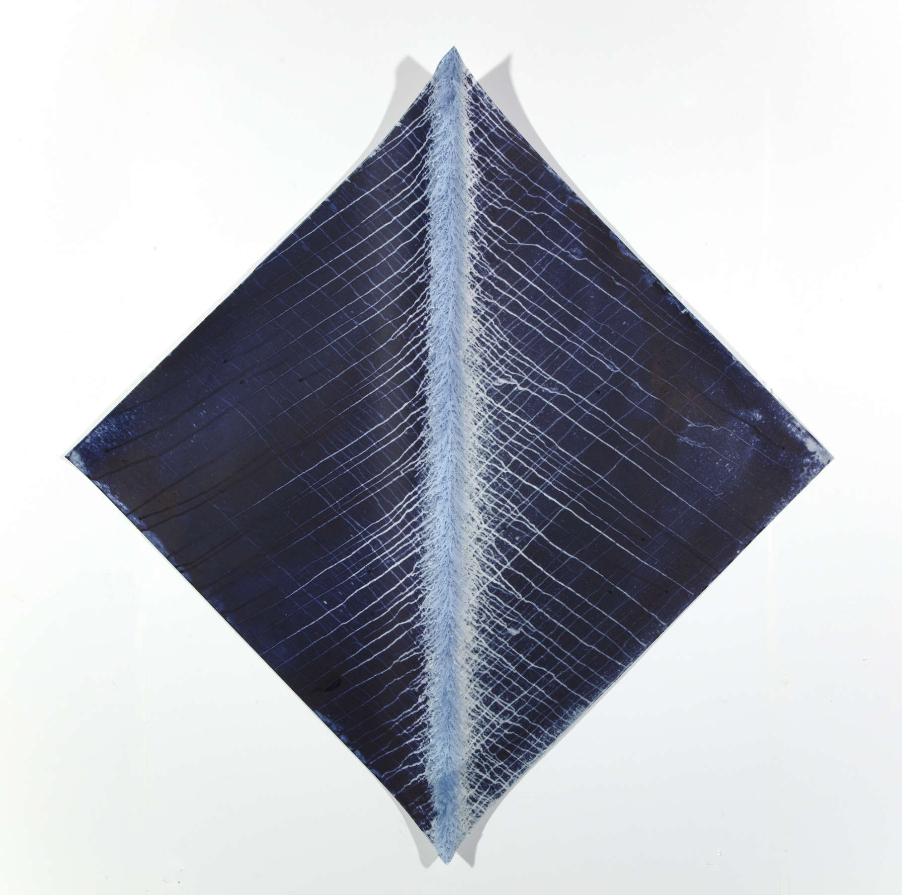 Ecotone #576 (Bainbridge Island, WA 12.14.18 + 1.3.19 + 1.9.19, Rain Falls in Every Direction + Resist)