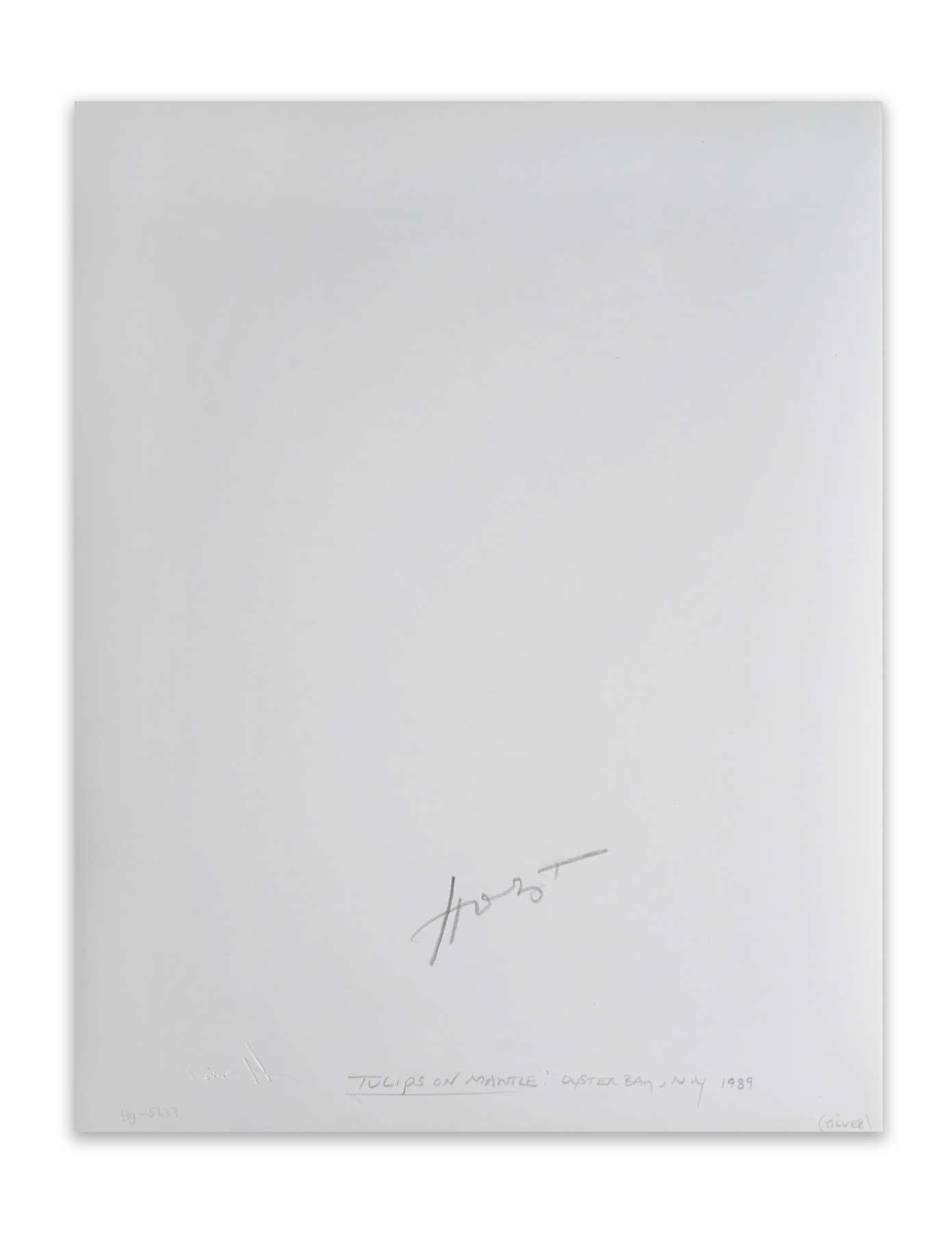 Tulips on Mantle, Oyster Bay, NY