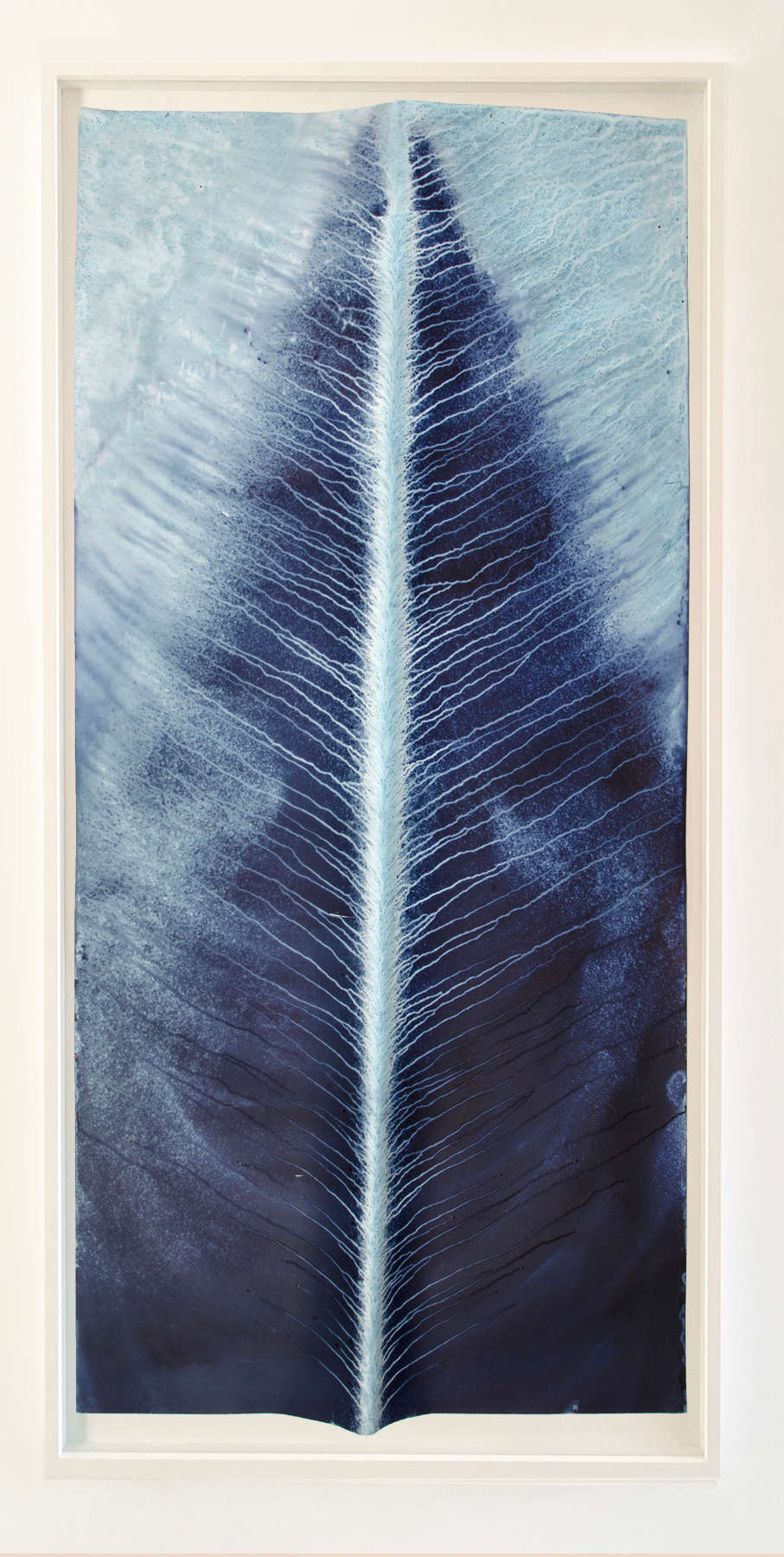 Ecotone #539 (Bainbridge Island, WA 10.29.18, Draped in Fog and Rain)