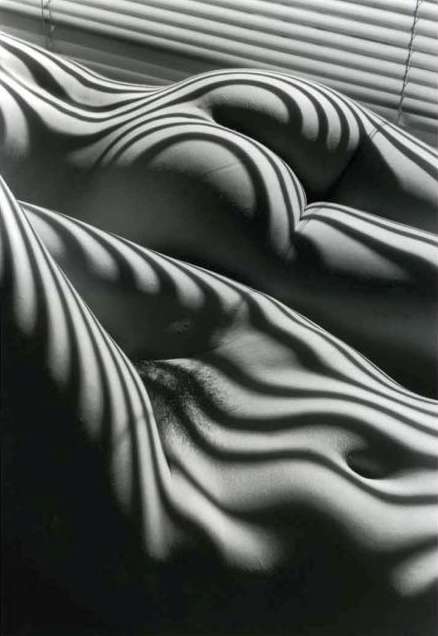 Two Zebra Nudes, New York
