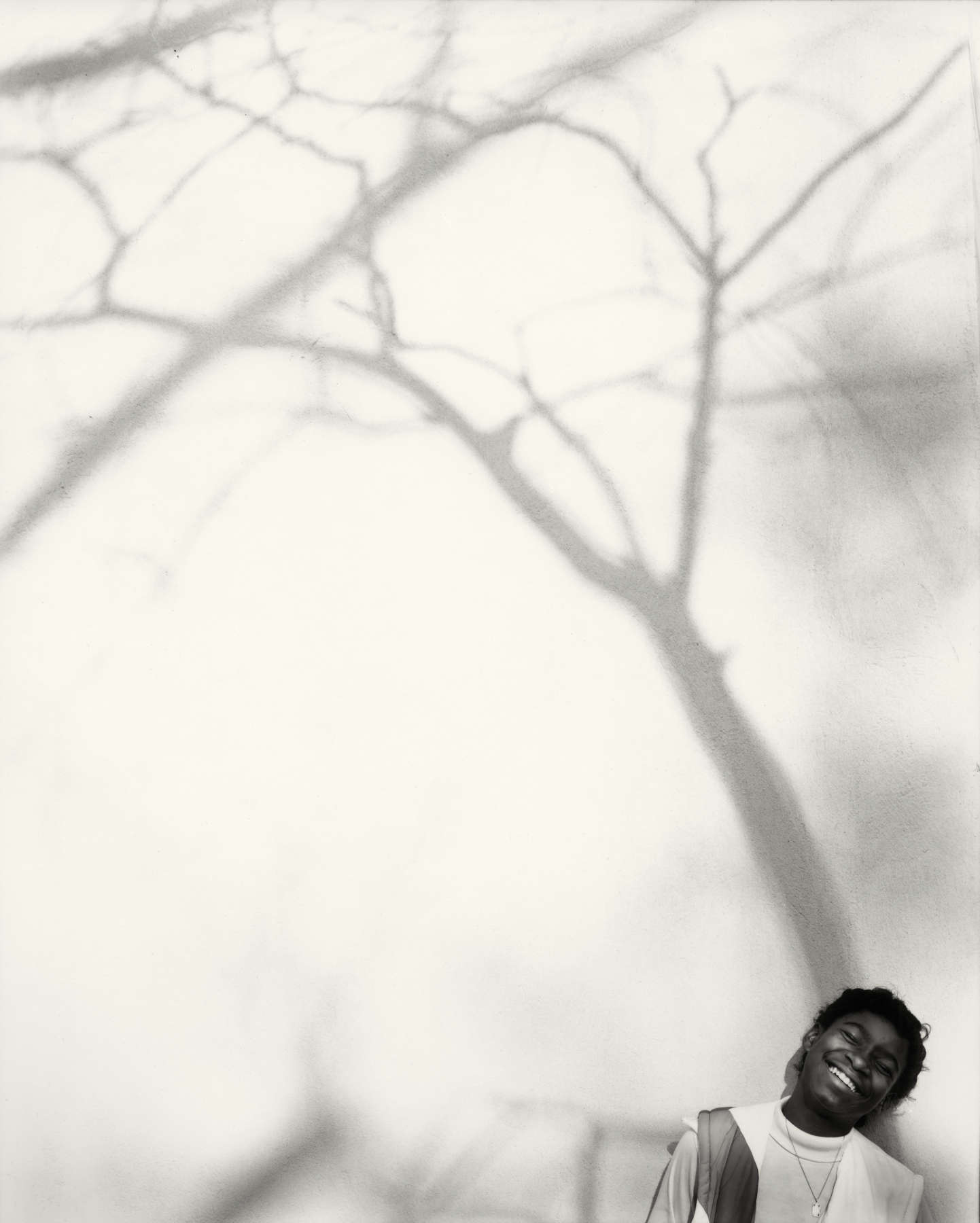 Untitled from the