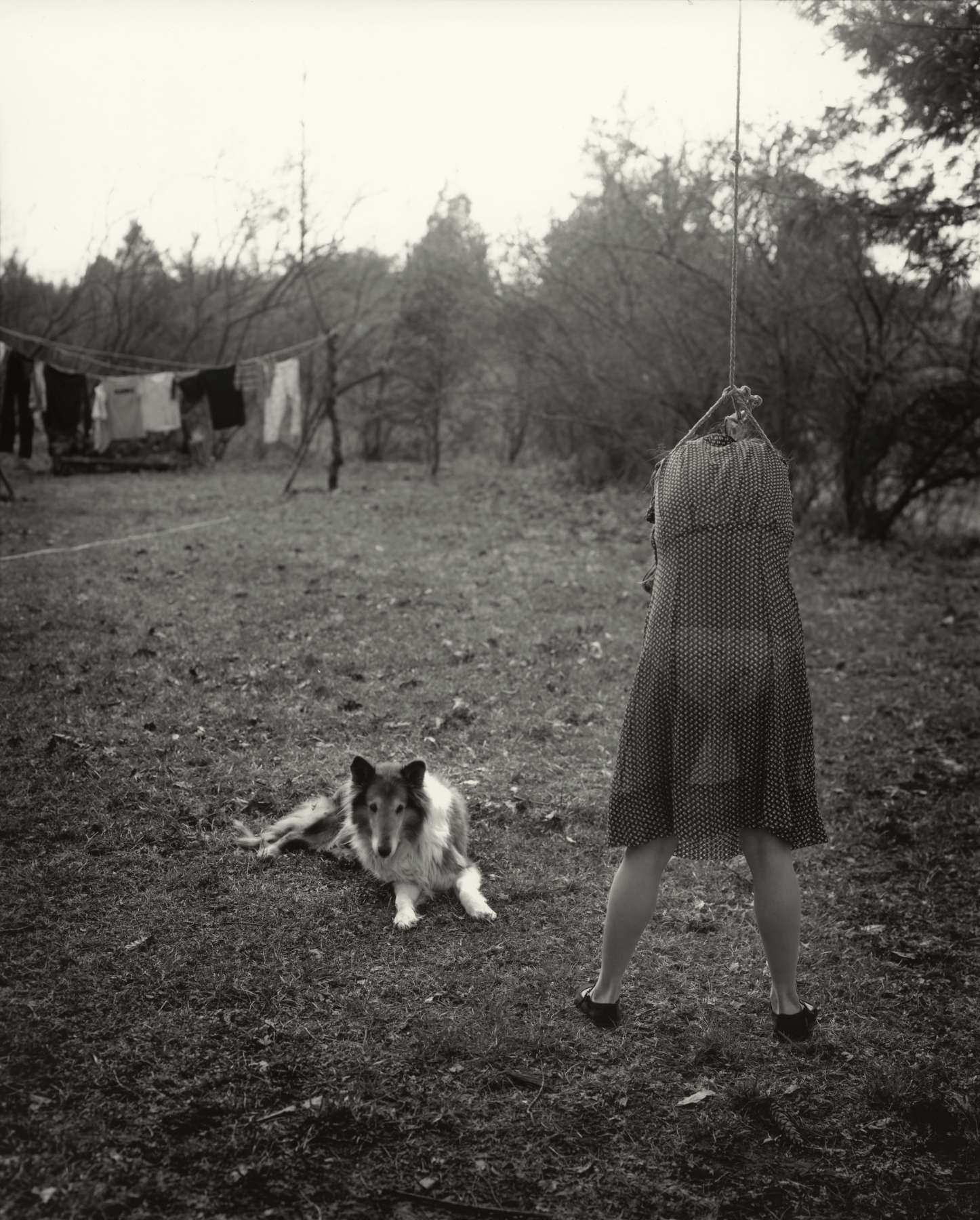 Untitled from the