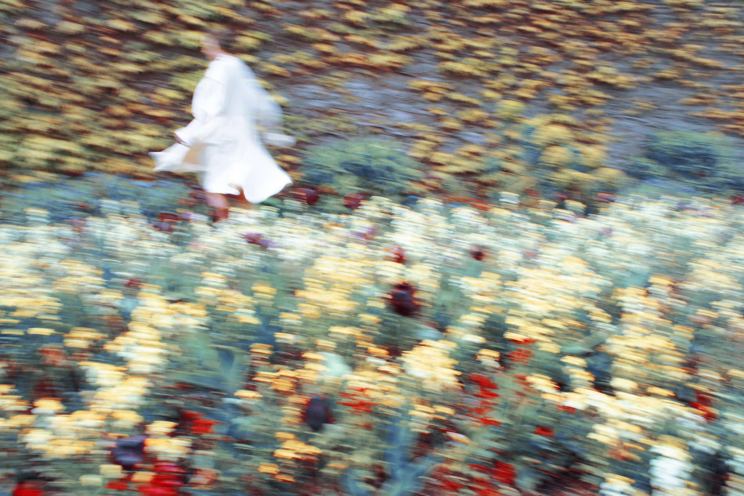 Untitled, The Garden