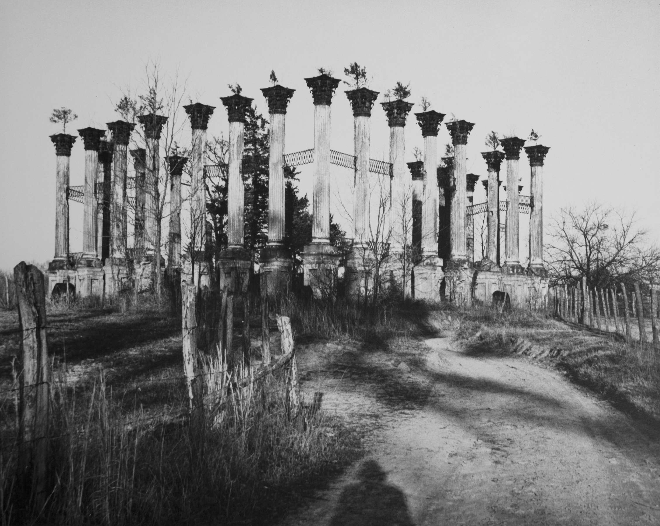 Eudora Welty Twenty Photographs Portfolio: Ruins of Windsor, 1942