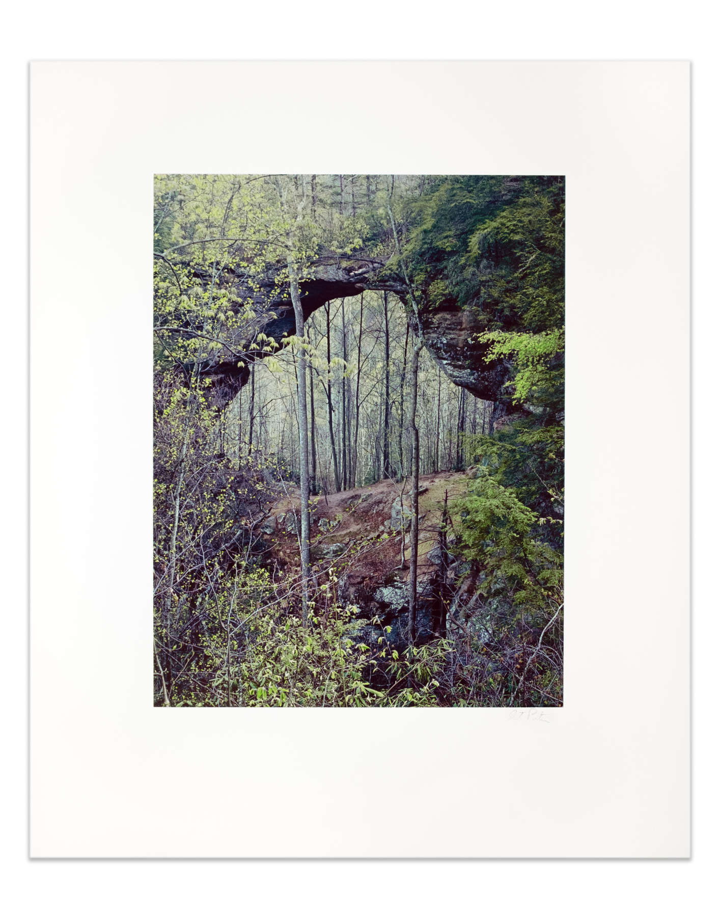 Gray's Arch, Red River Gorge, Kentucky