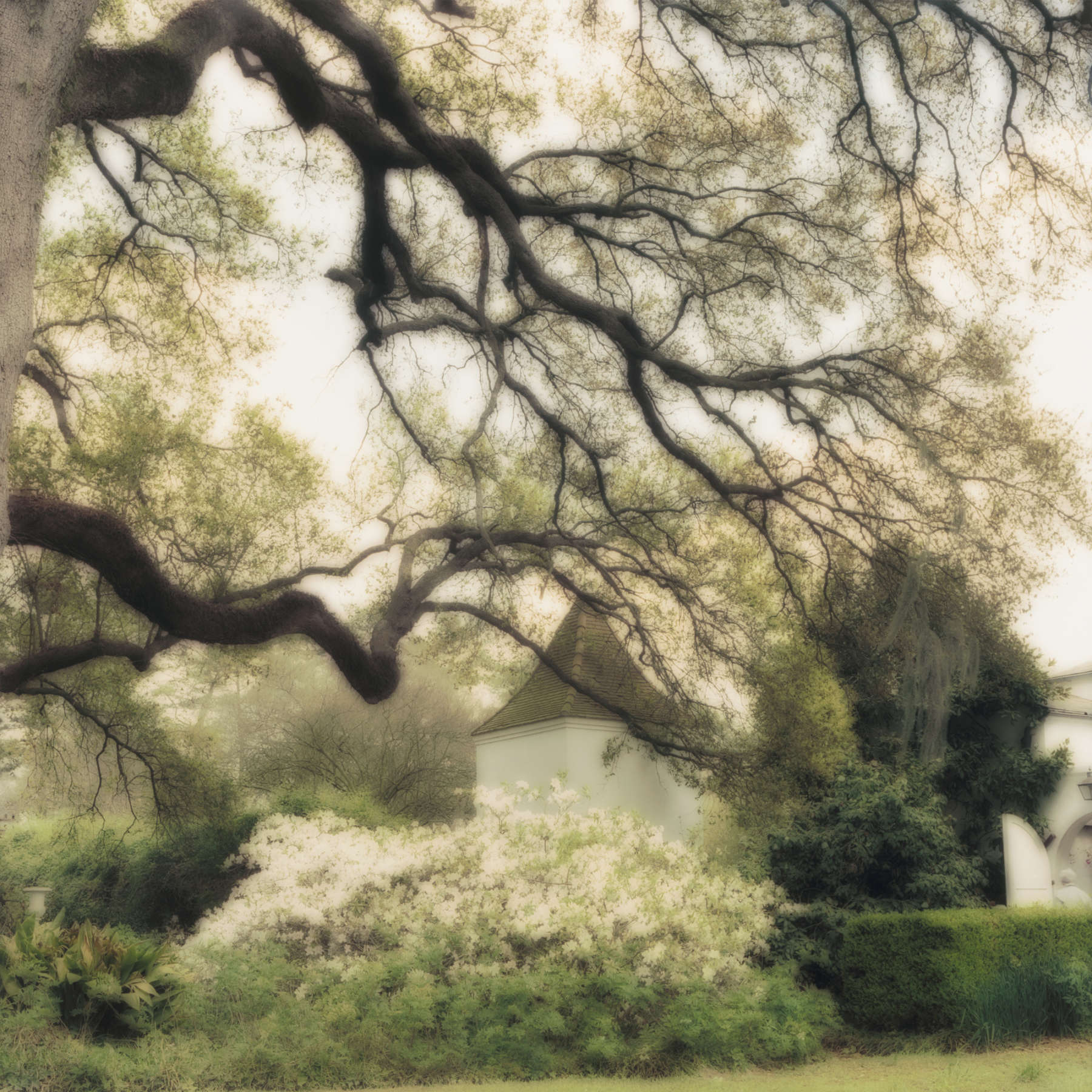 Houmas House, Louisiana (3-00-14c-3)