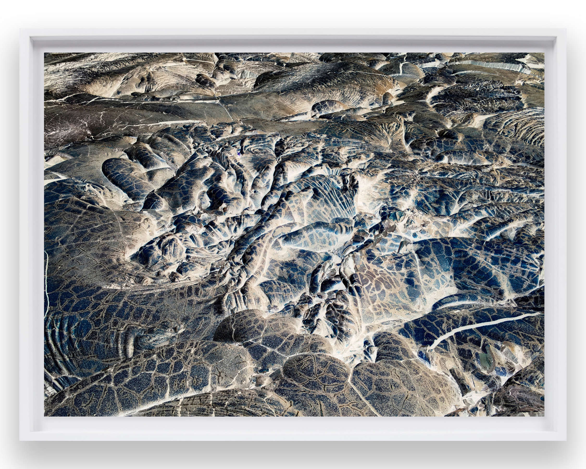 Untitled #729700FC (Tree in snow, Yosemite)