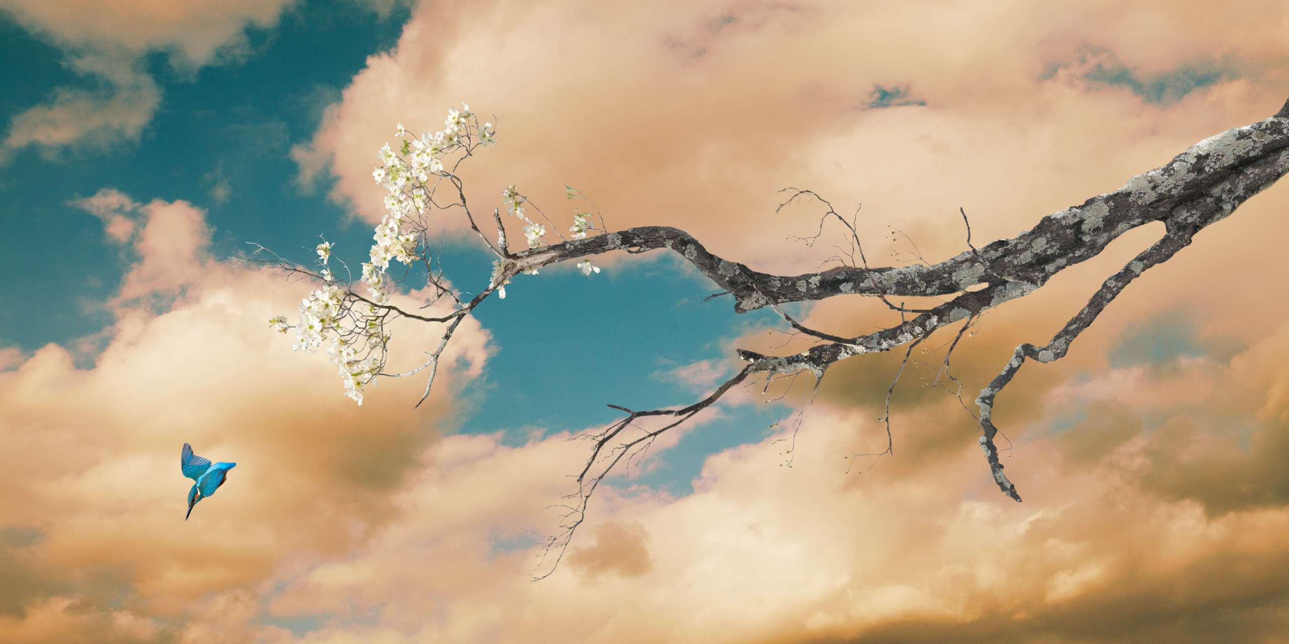 Untitled, Sovereign Tree (kingfisher branches)