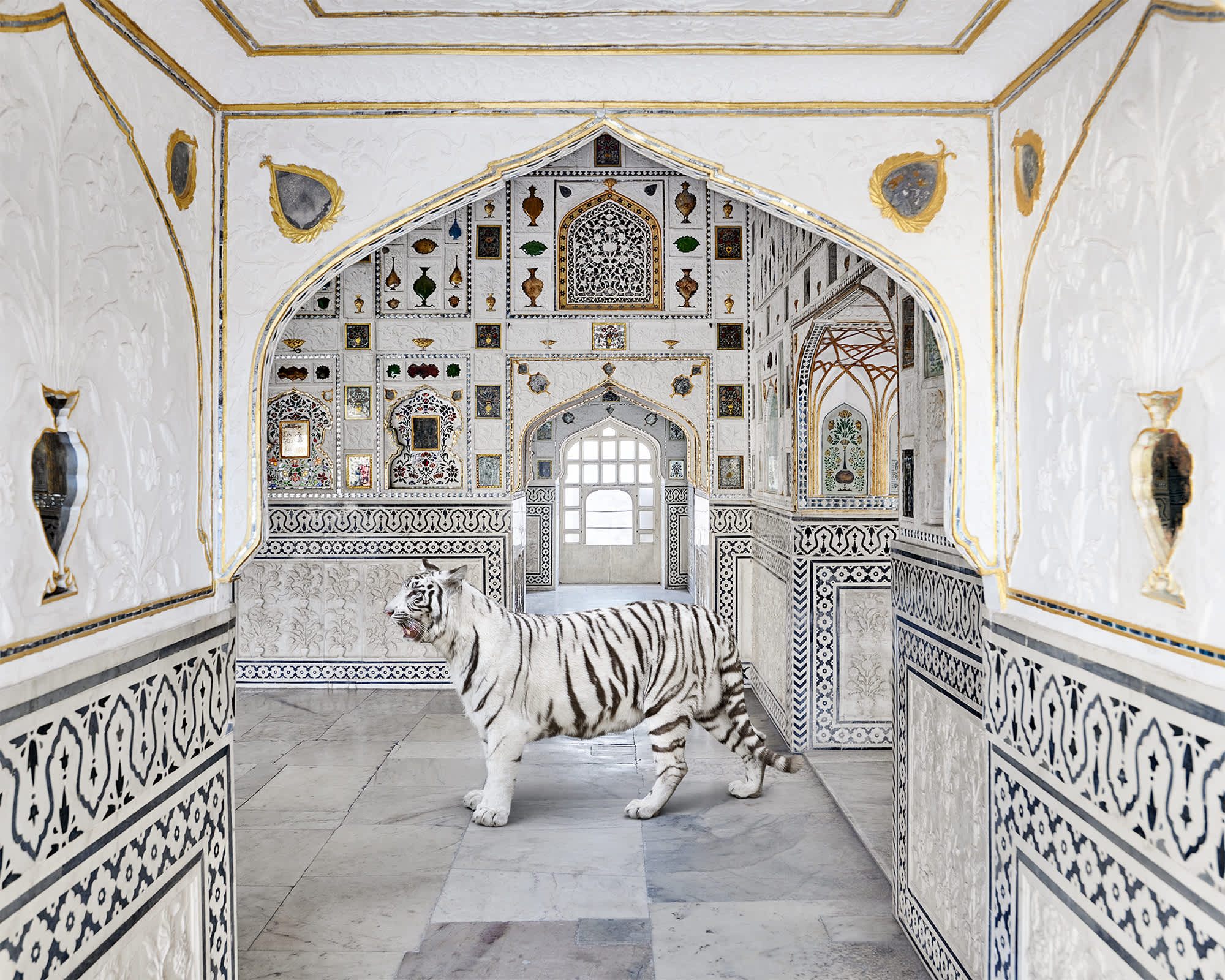 Tiger Breath, Sheesh Mahal, Amer Fort